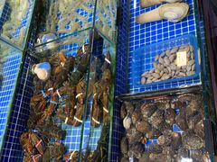 水产区-板桥海鲜广场(文明东店)