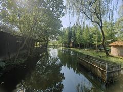 -溱湖国家湿地公园