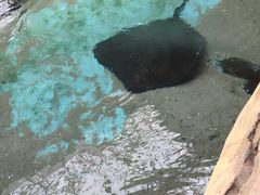 -哈尔滨波塞冬海底世界