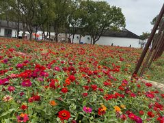 -七的湖·晚芳亭·阳澄湖农家菜·大闸蟹(莲花岛店)
