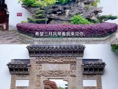 -南翔古镇