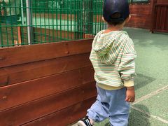 -羊亭河湿地公园