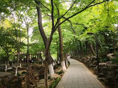 -虞山风景区
