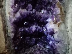 -阿瓦山寨(紫林路店)