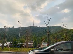 -高榜山景区