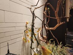 -君庭中餐厅(友谊宾馆店)