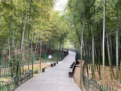 -树山生态村