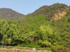 -双新垂钓园