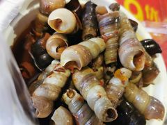辣炒牛眼螺-海大南门夜市(海富街店)
