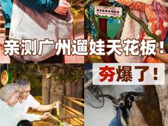 -正佳雨林生态植物园