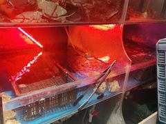 -臻鲜燕海鲜融合餐厅(金陵style店)