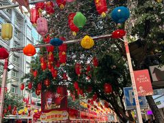 -越秀西湖花市(广州城市广场花卉店)
