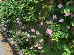 -茅山东方盐湖城景区