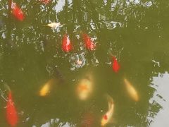 -龚家花园农家乐休闲别墅