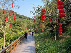 -阳台山森林公园