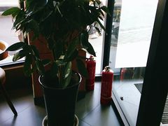 靠窗位-李先生牛肉面大王(朝阳街店)