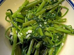 -酒阳蒸经·江湖川菜