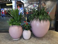 -砂之船奥莱(南京江宁店)