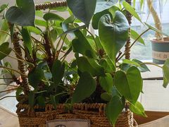 -沐春秋茶书院·茶室.茶馆.商务包房(知春路店)