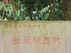 -张坝桂圆林公园