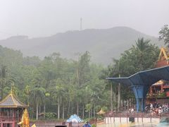 -西双版纳原始森林公园