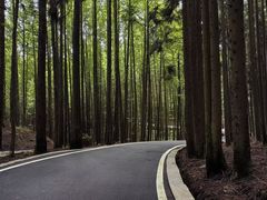 -山王坪喀斯特国家生态公园