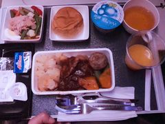 -新加坡航空公司(ION)