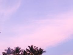 -白沙滩