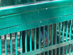 -秦皇岛野生动物园