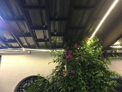 -浮何烤铺(桐梓林店)