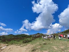 -齐岳山