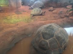 -上海动物园(地铁站)