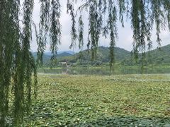 -鸣鹤古镇