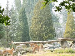 -北京野生动物园