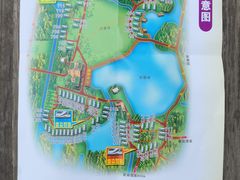 -崇明东平国家森林公园烧烤房车露营地