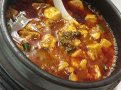 -陈麻婆豆腐总店