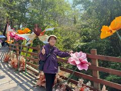 -西双版纳原始森林公园