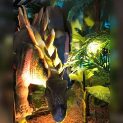 -恐龙探索乐园(磁器口店)