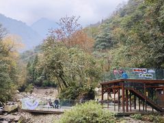-西岭雪山大飞水景区