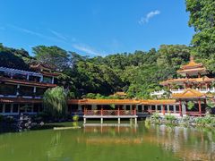 -深圳仙湖植物园