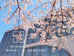 -龙美术馆(西岸馆)