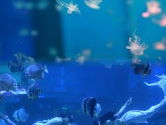 -石林冰雪海洋世界