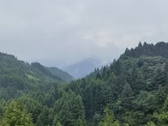 -山王坪喀斯特国家生态公园
