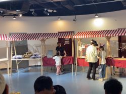 -飞览天下沉浸式飞行体验(北京旗舰店)