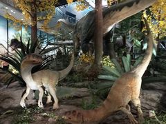 -湖南省地质博物馆