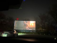 -枫花园汽车电影院(朝阳公园店)