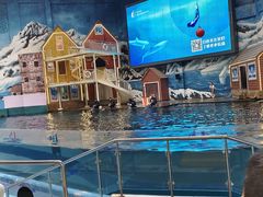 -西安曲江海洋极地公园