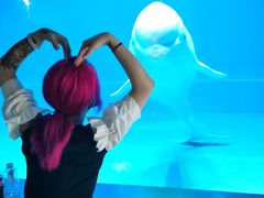 -芜湖新华联大白鲸海洋公园