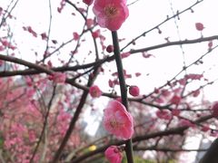 -重庆彩云湖湿地公园