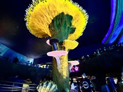 -珠海长隆海洋王国